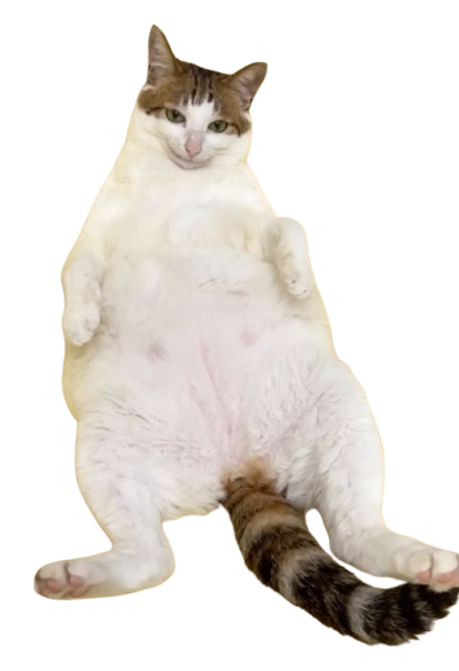 Uncle Bao sitting